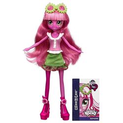   (My Little Pony Equestria Girls Rainbow Rocks Cheerilee)